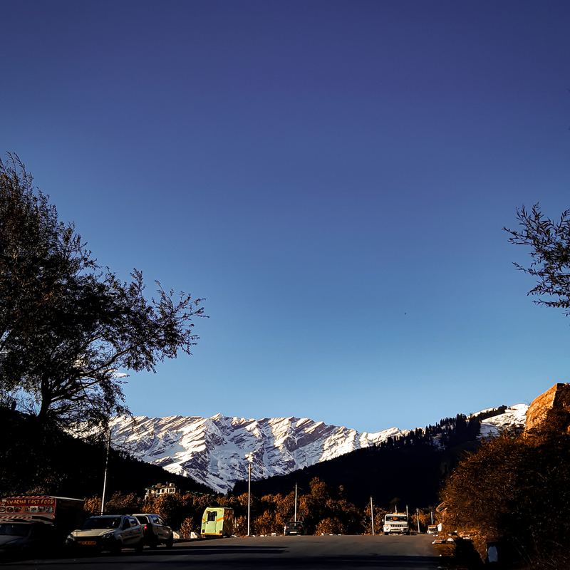 Manali & shimla from delhi/Volvo